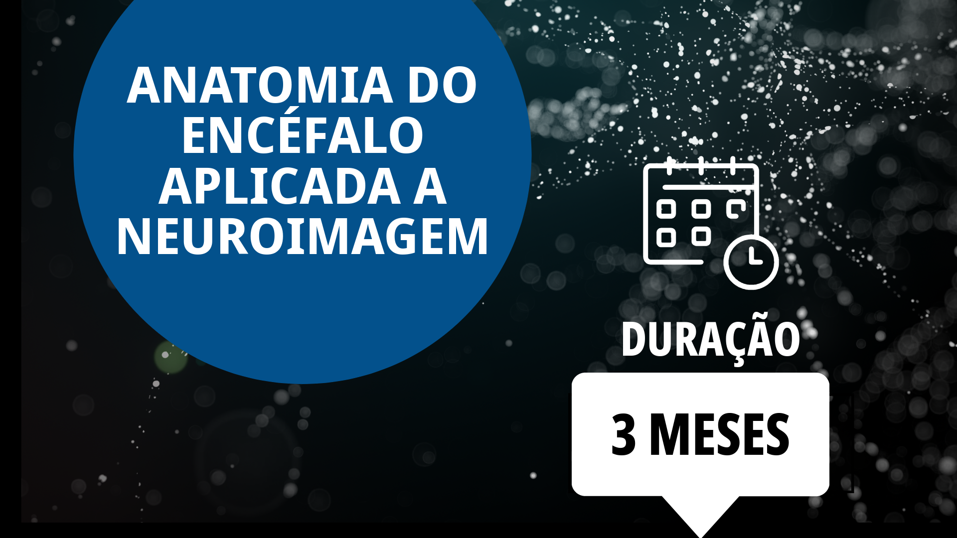 Anatomia do Encéfalo Aplicada a Neuroimagem em Cães e Gatos (Duração: 3 meses)