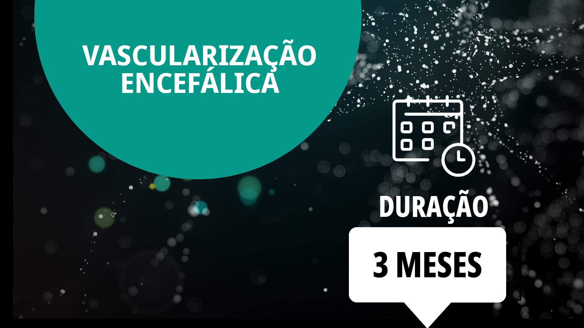 Vascularização Encefálica de Cães e Gatos (Duração: 3 meses)