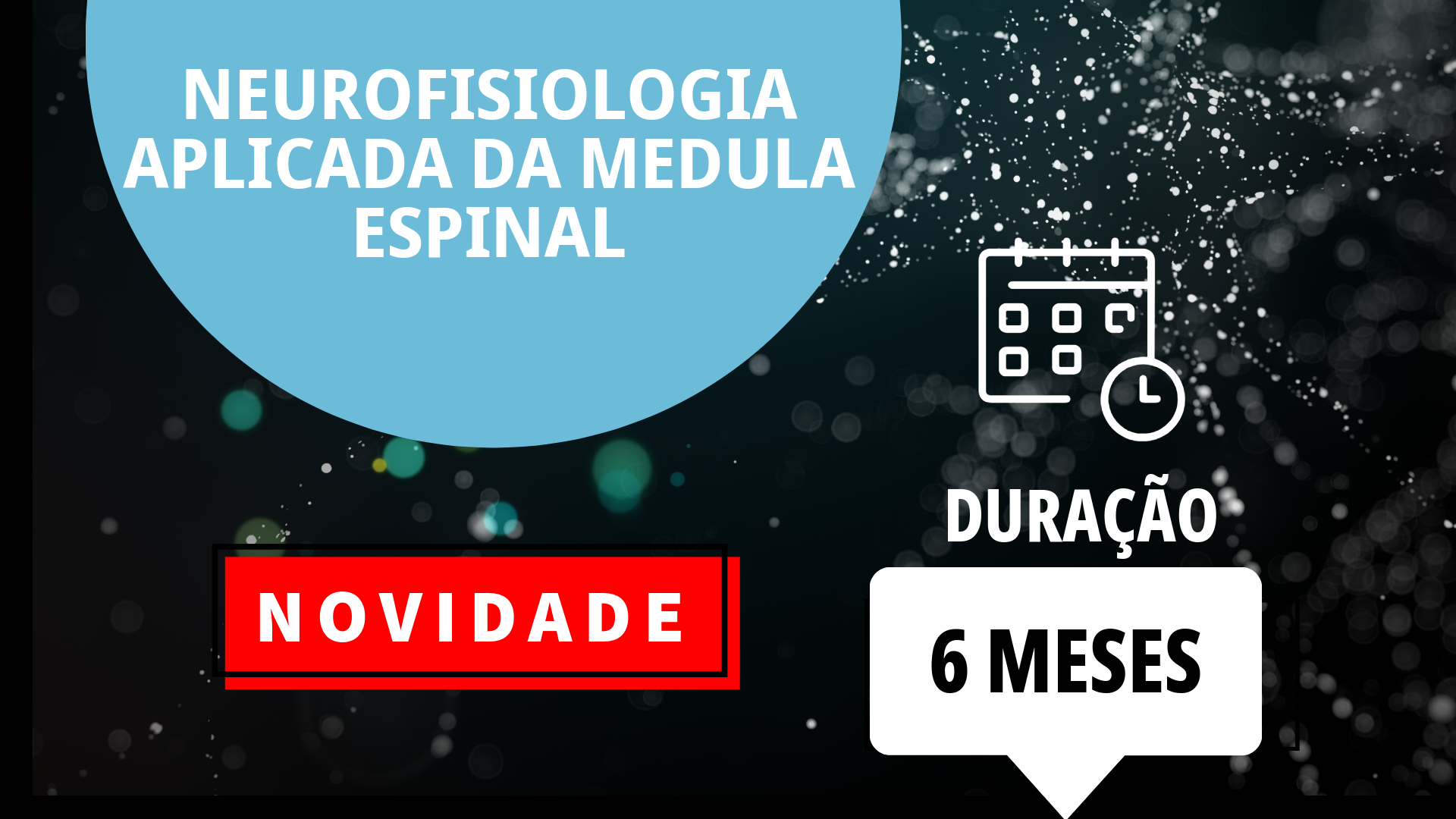 Neurofisiologia Aplicada da Medula Espinal (Duração: 6 meses)